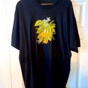 LRG organic t- shirt XL